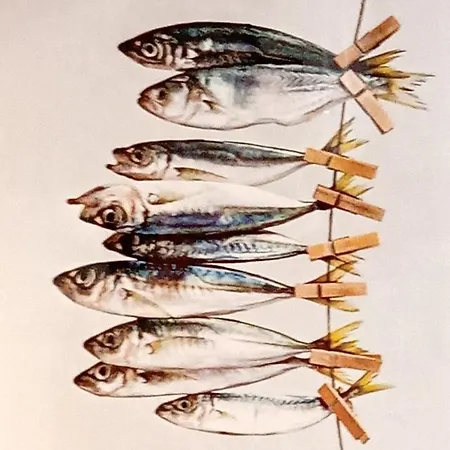 Casa Quatro Cabeças *