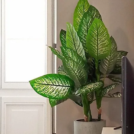 Casa Quatro Cabeças Appartement *