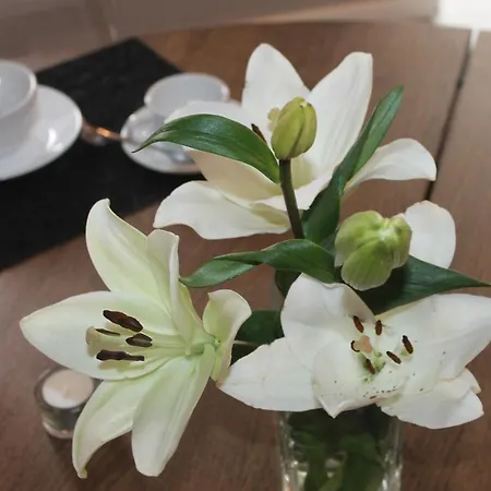 Casa Quatro Cabeças Setúbal