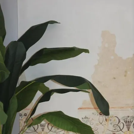Casa Quatro Cabecas アパート